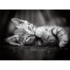 Clementoni Puzzle Kitty 1000 pezzi - immagine 2