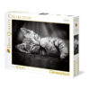 Clementoni Puzzle Kitty 1000 pezzi - immagine 3